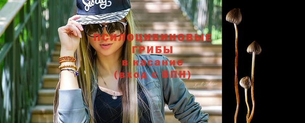 шишки Нефтегорск