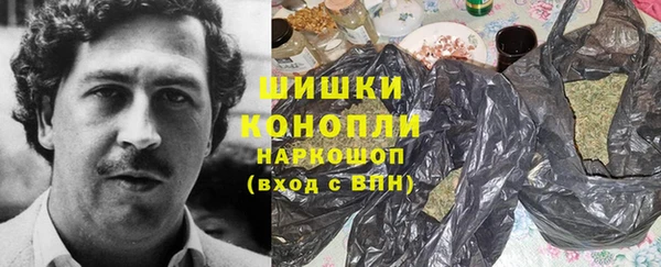 спайс Нея