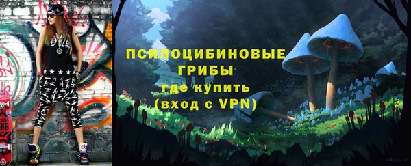 спайс Нея
