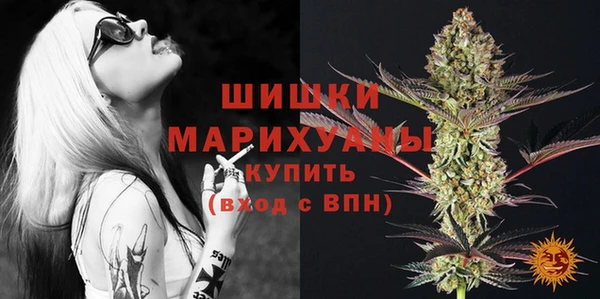 шишки Нефтегорск