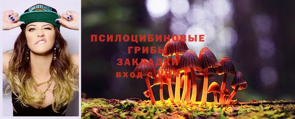 шишки Нефтегорск